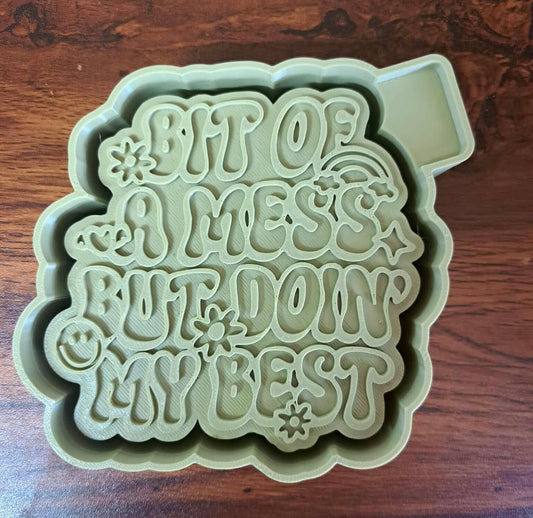 Bit of a Mess but Doin my Best Mold